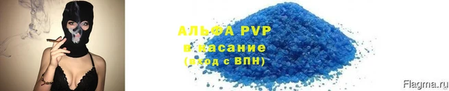 PSILOCYBIN Зерноград