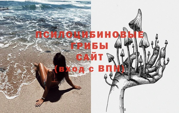 PSILOCYBIN Зерноград