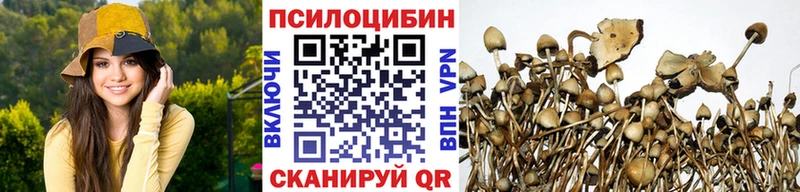 Псилоцибиновые грибы мицелий  Купить где  Муравленко 